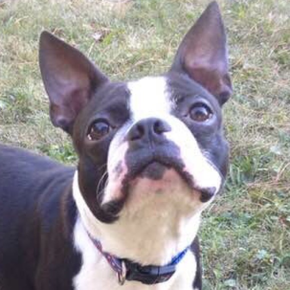 Meet your Posher, Sheri - Picture 1 of 1